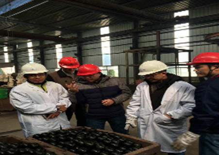 GUESTS VISITED XINLI PLANT